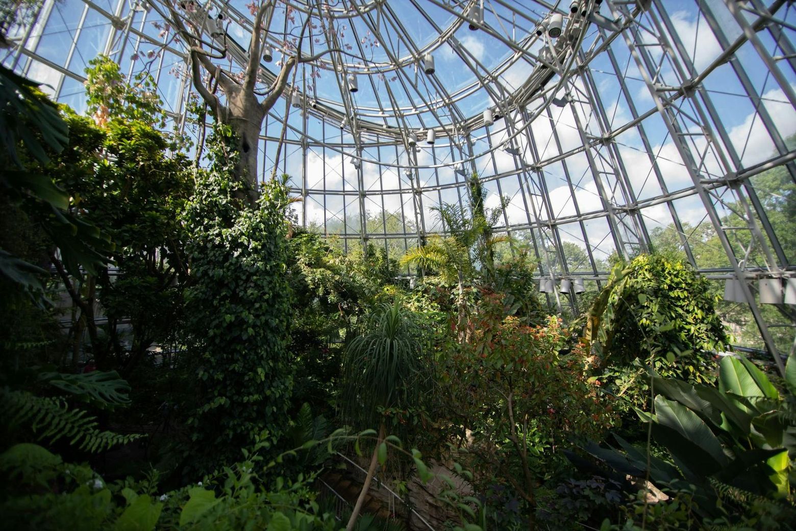 Cockrell Butterfly Center at the Houston Museum of Natural Science: Entry Ticket - photo 2