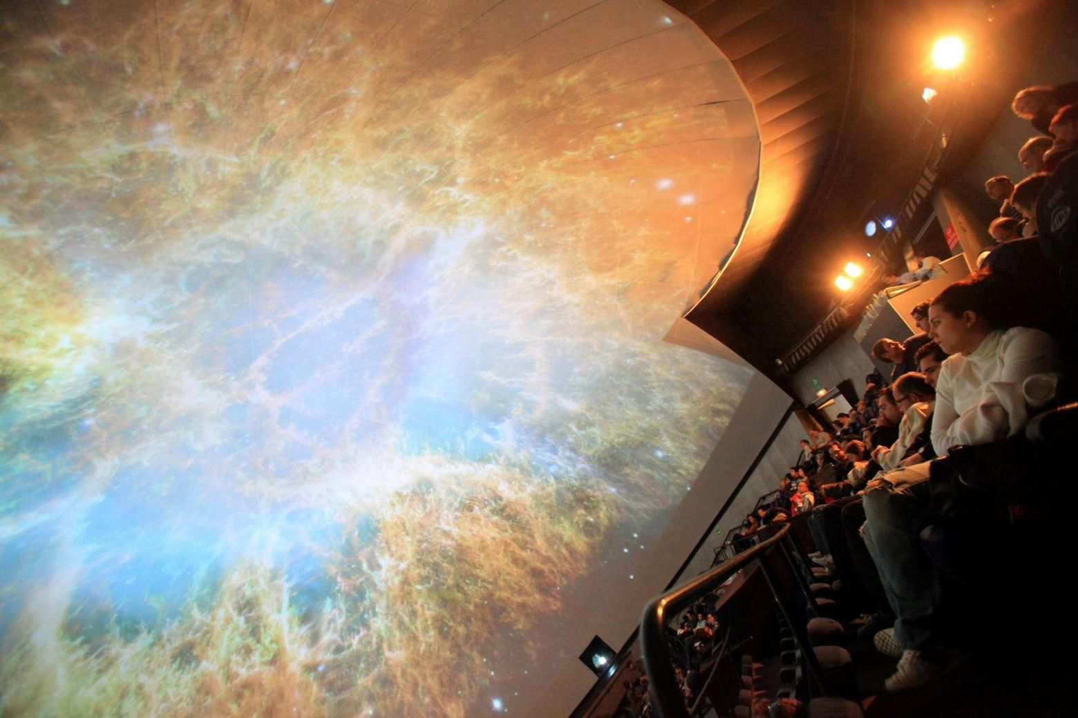 Oceanogràfic, Science Museum & Hemisfèric: Entry Ticket