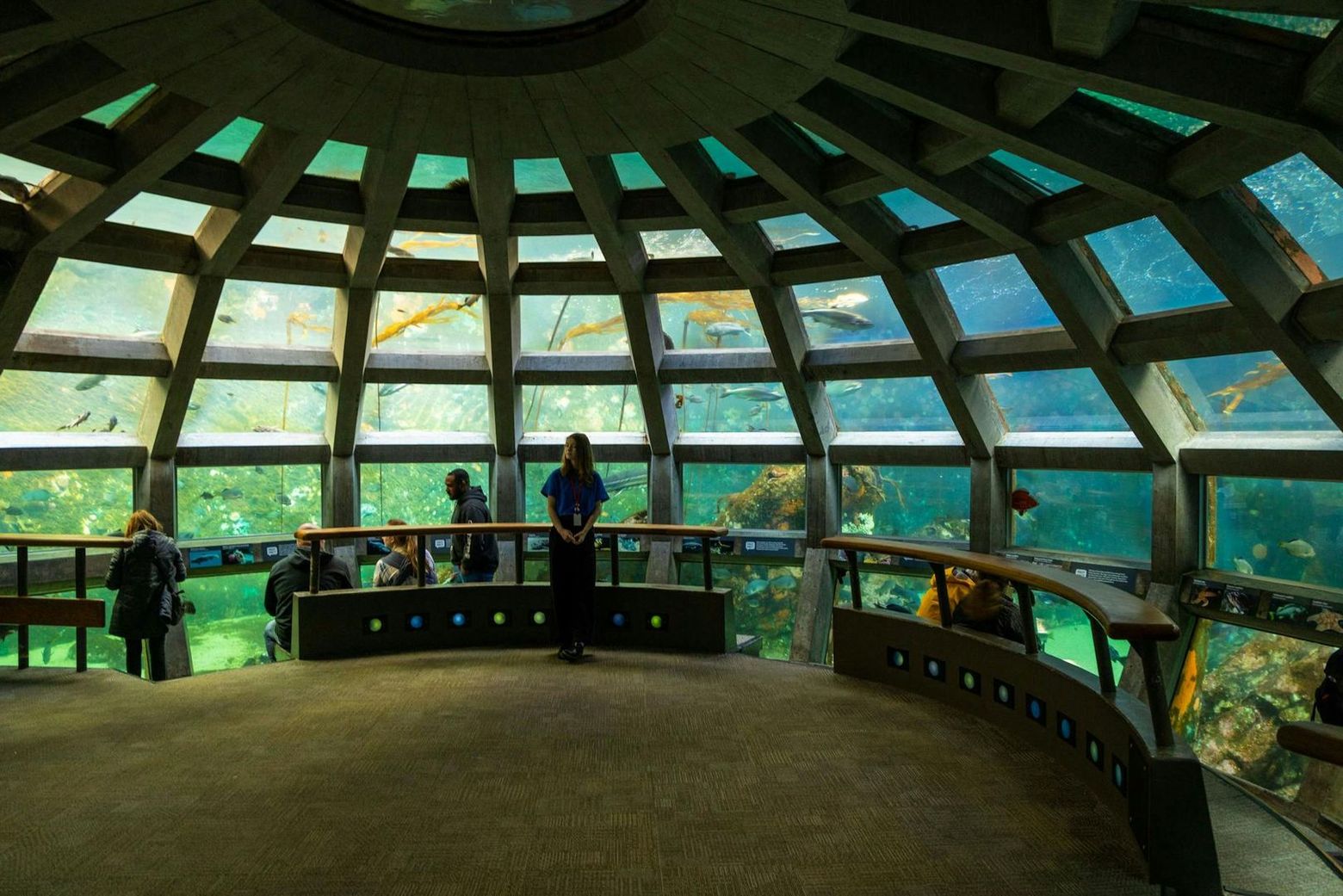 Seattle Aquarium: Entry Ticket - photo 2