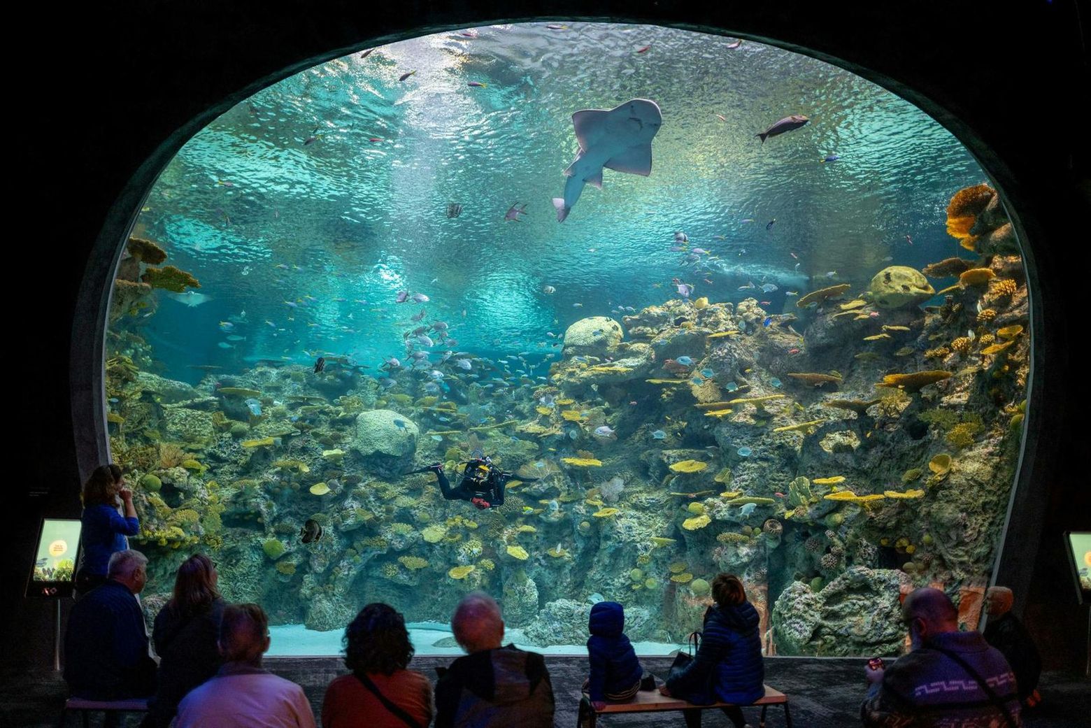 Seattle Aquarium: Entry Ticket