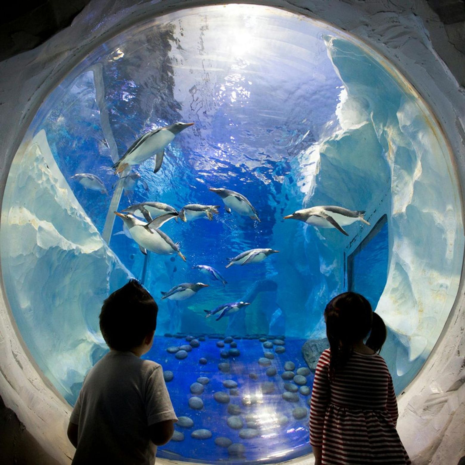 SEA LIFE Birmingham: Entry Ticket - photo 2