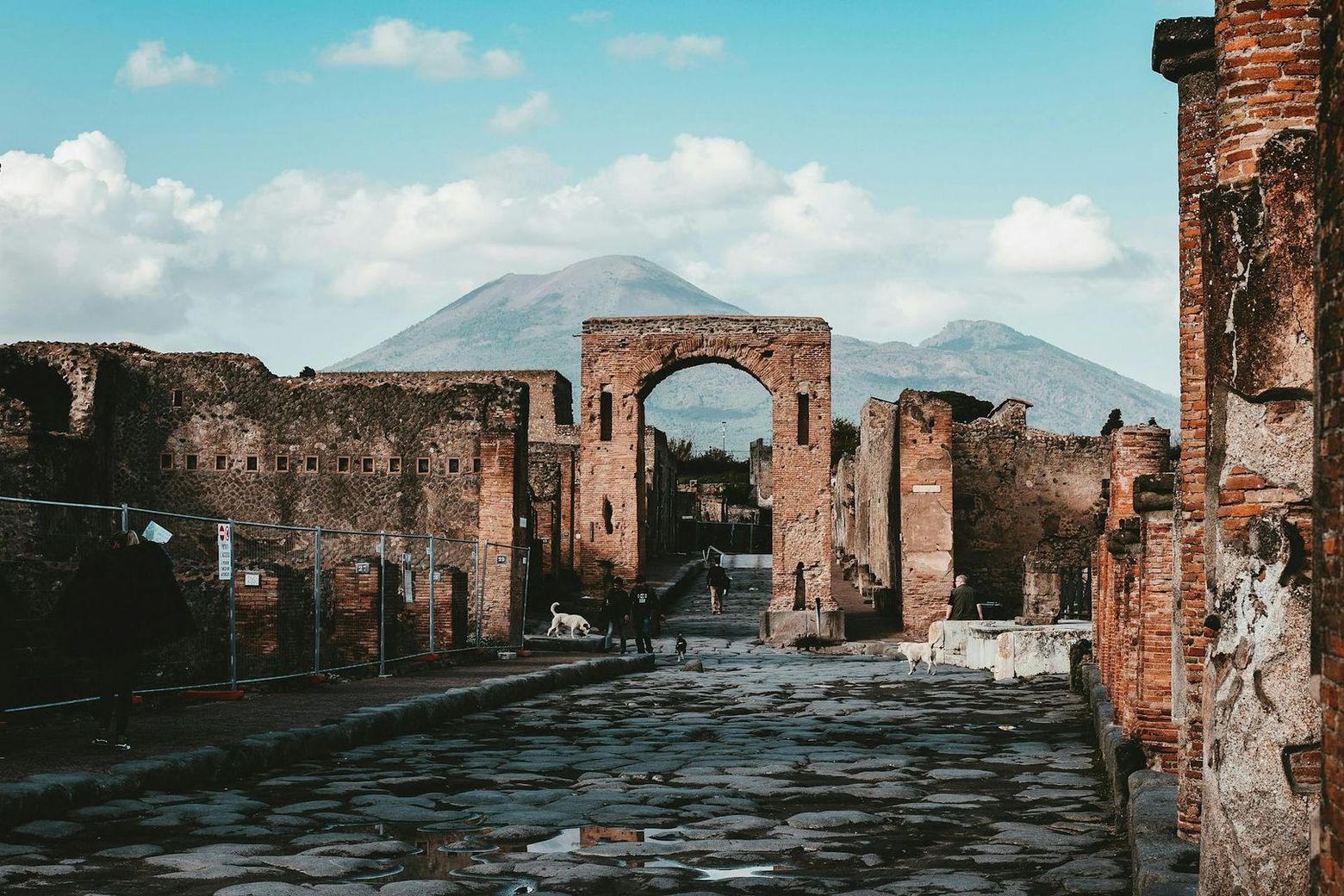 Pompeii: Entrance + Roundtrip Transport from Rome
