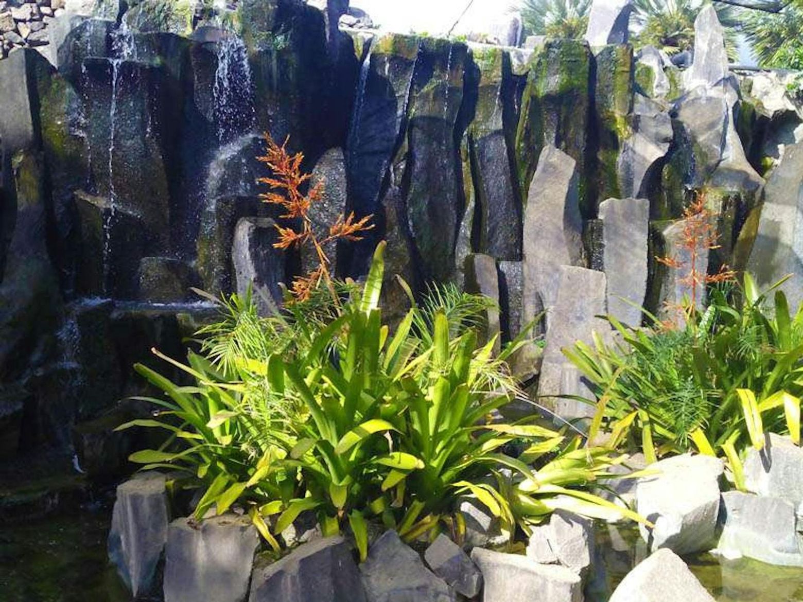 Palmetum of Santa Cruz de Tenerife: Entry Ticket - photo 2