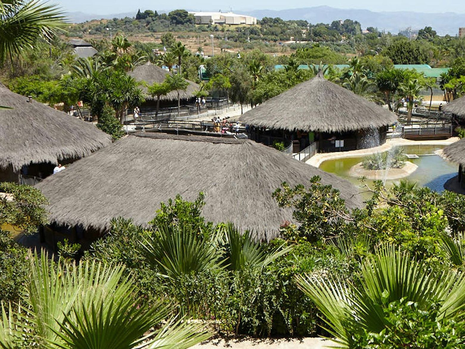 Crocodile Park Torremolinos: Entry Ticket - photo 2