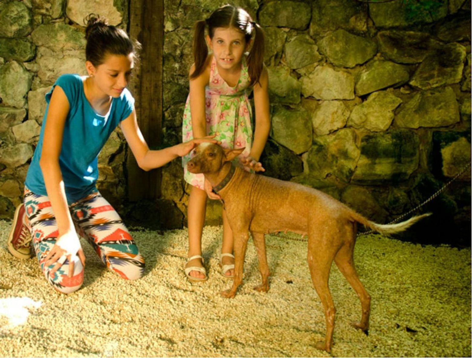 Croco Cun Zoo: Fast Track Ticket - photo 2