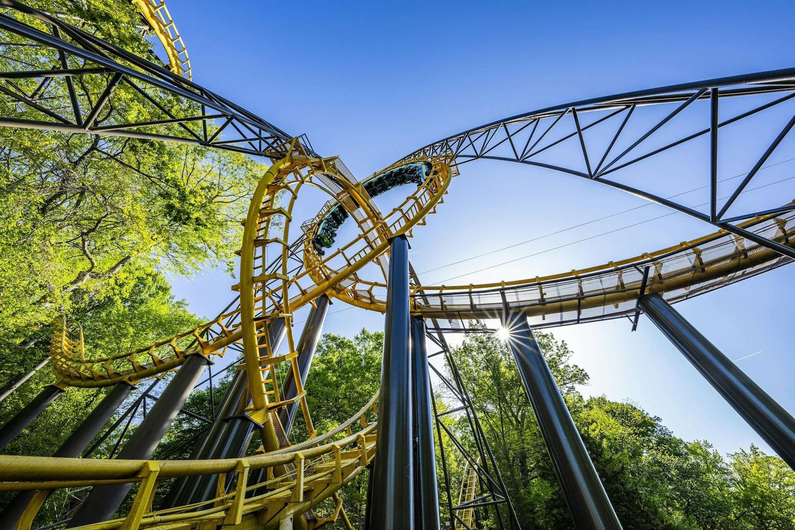 Busch Gardens Williamsburg: Entry Ticket - photo 2