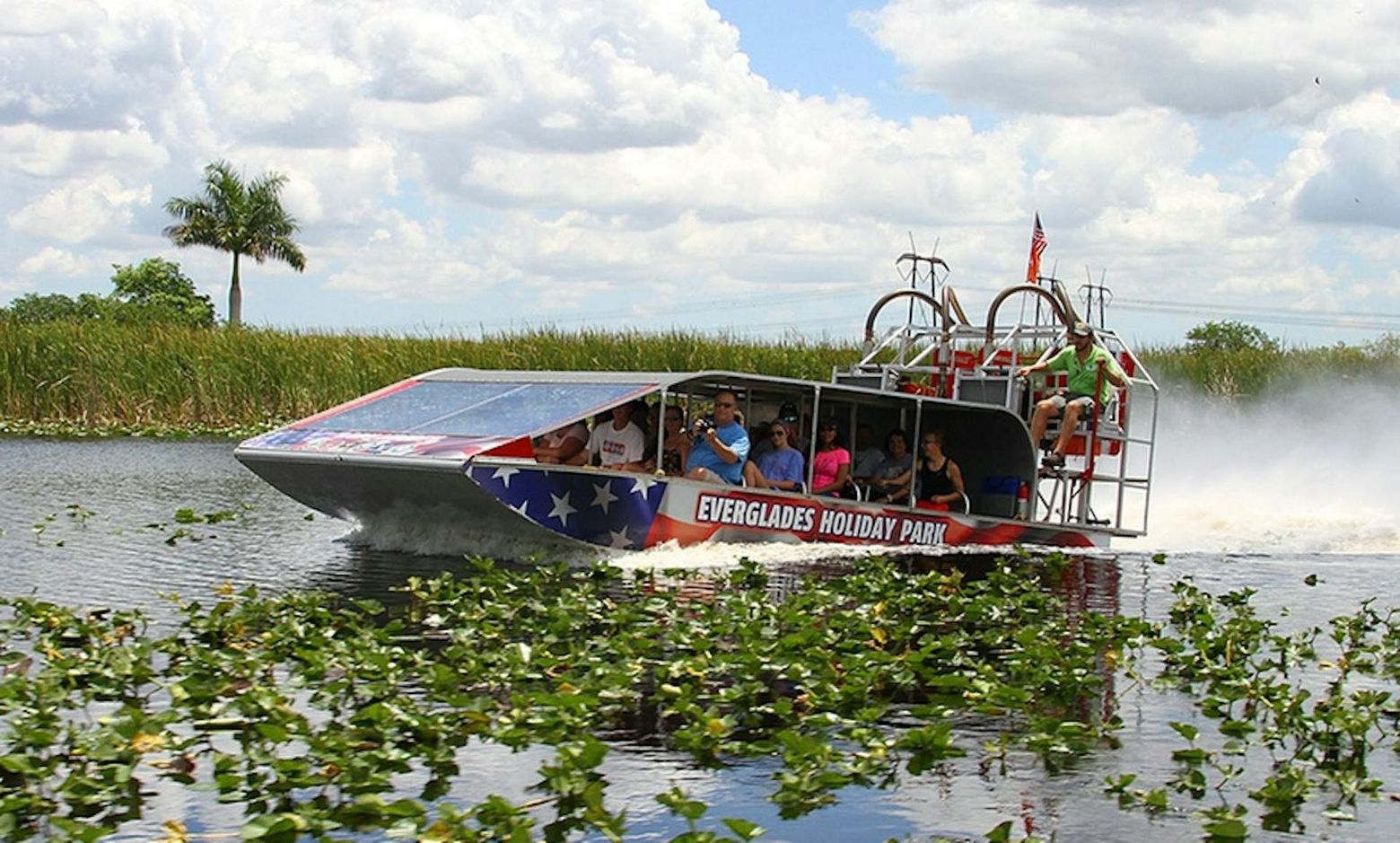 Everglades Holiday Park: Half-Day Trip from Miami with Entry + Transport