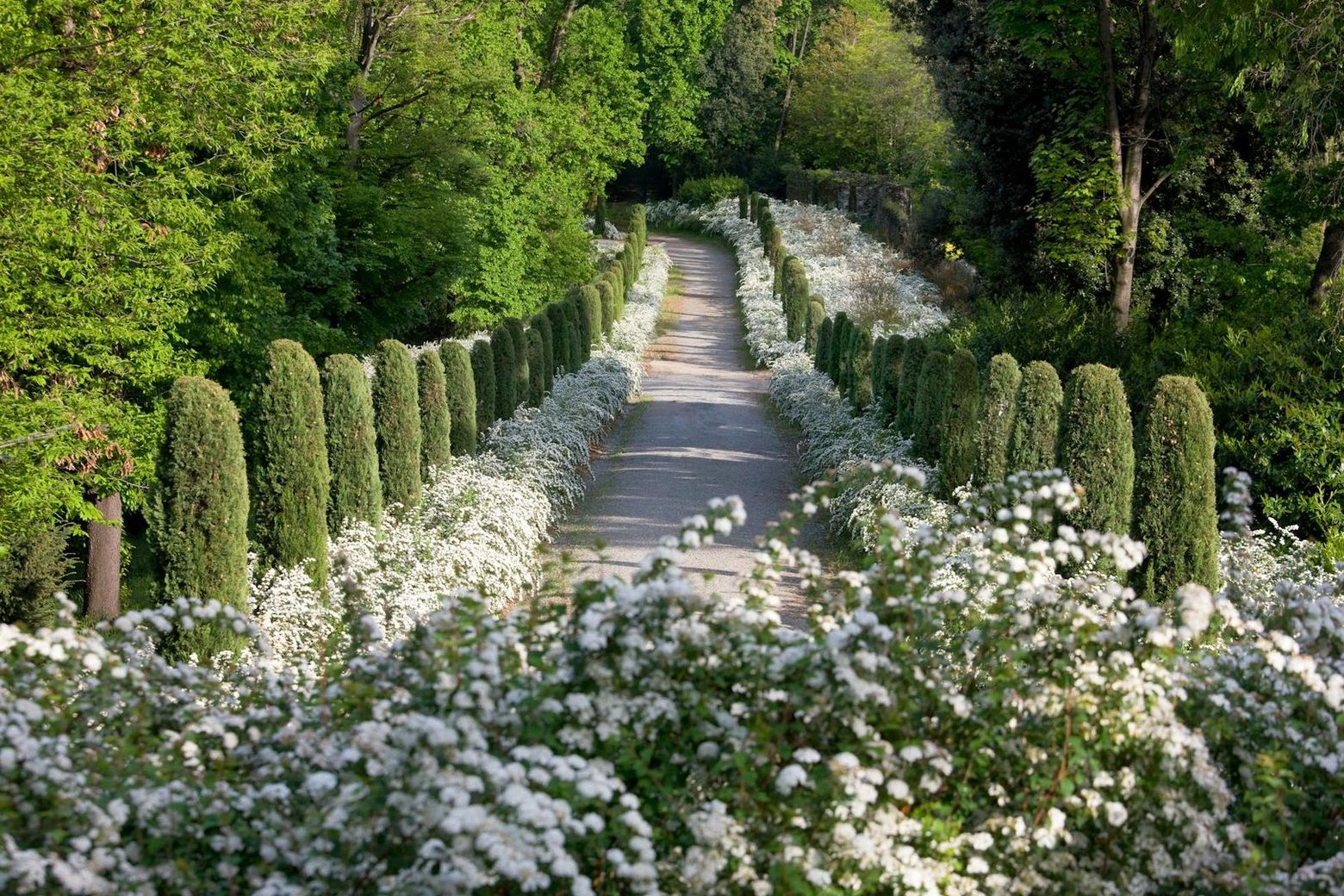 Masino Castle: Entry Ticket - photo 2