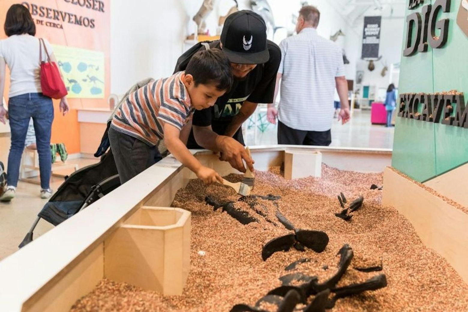 Natural History Museum of Los Angeles County: Entry Ticket - photo 2