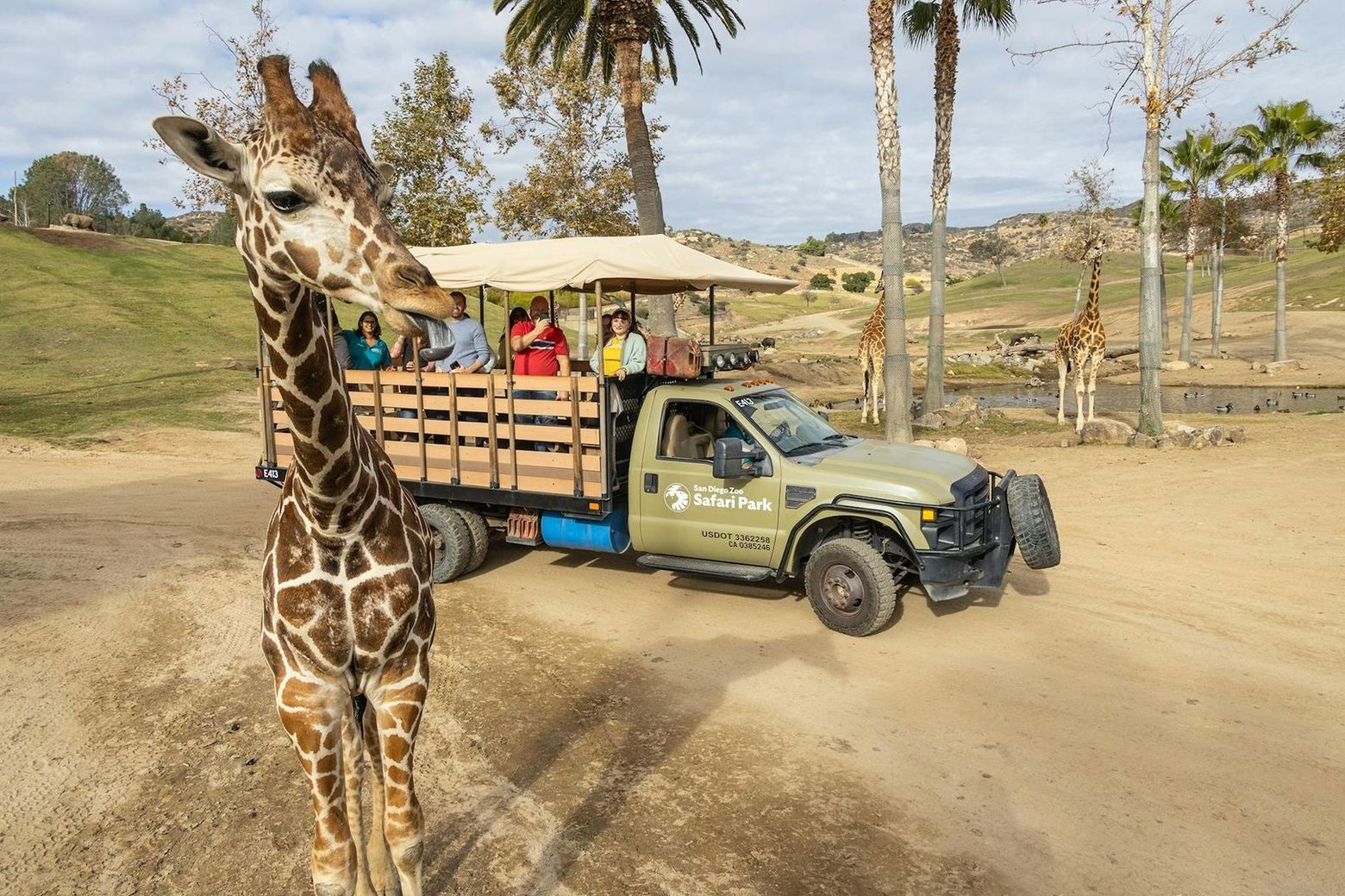San Diego Zoo Safari Park: Entry Ticket
