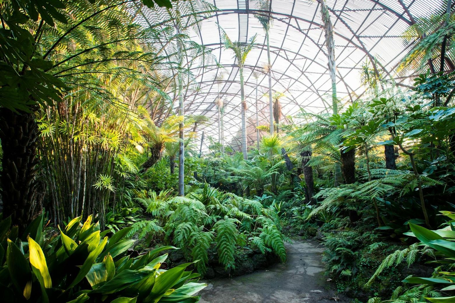 Rippon Lea Estate: Entry ticket - photo 2