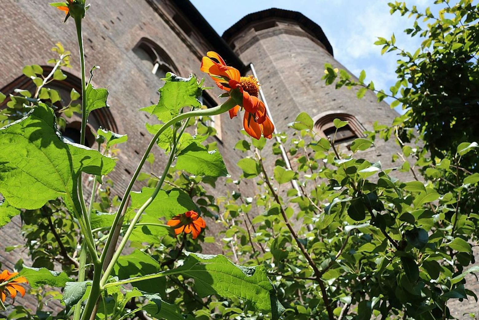 Palazzo Madama: Skip The Line Ticket - photo 2