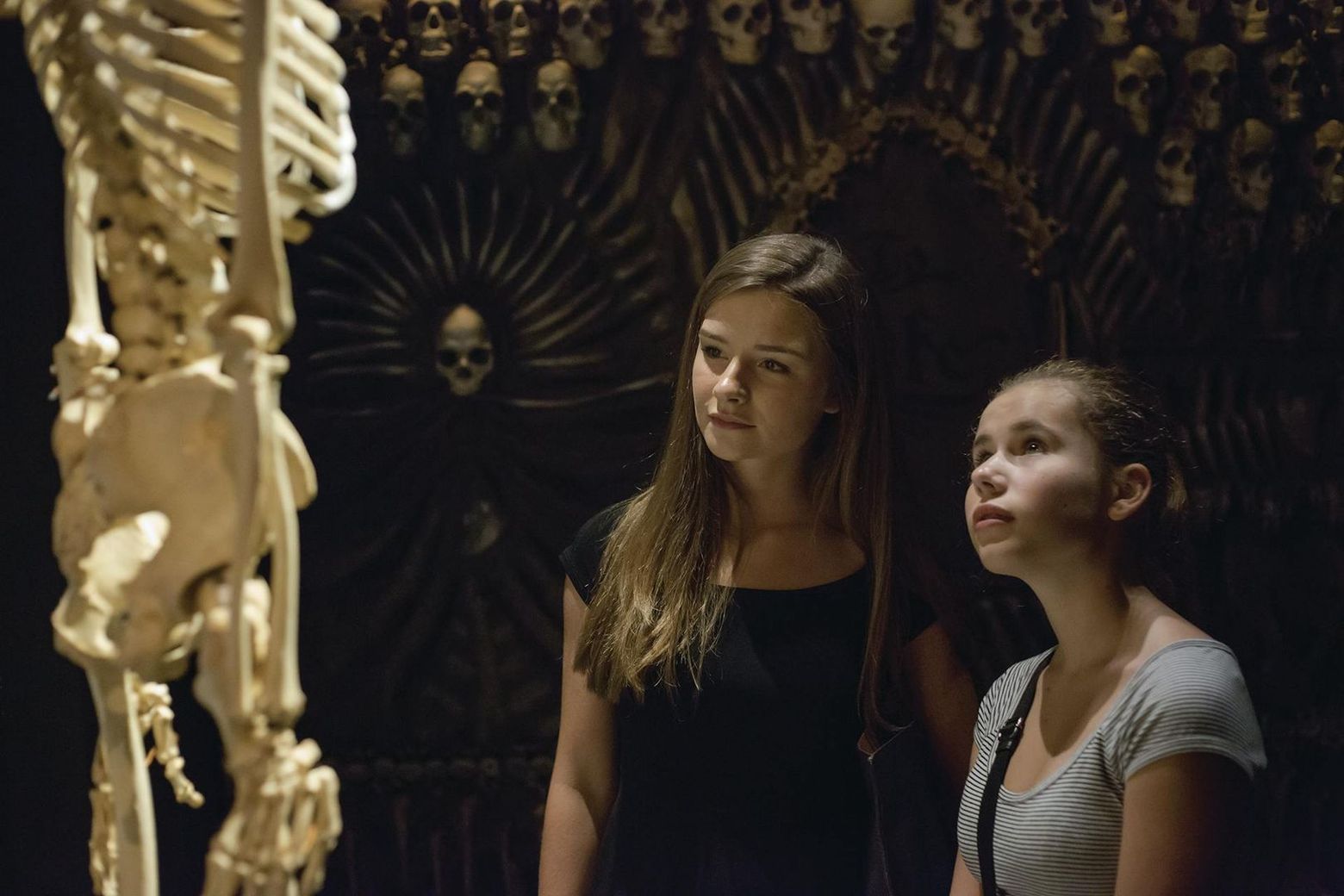 REAL Bodies at Horseshoe Las Vegas: Entry Ticket - photo 2