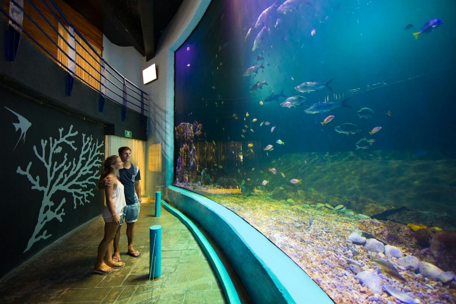 Interactive Aquarium Cancún: Entry Ticket