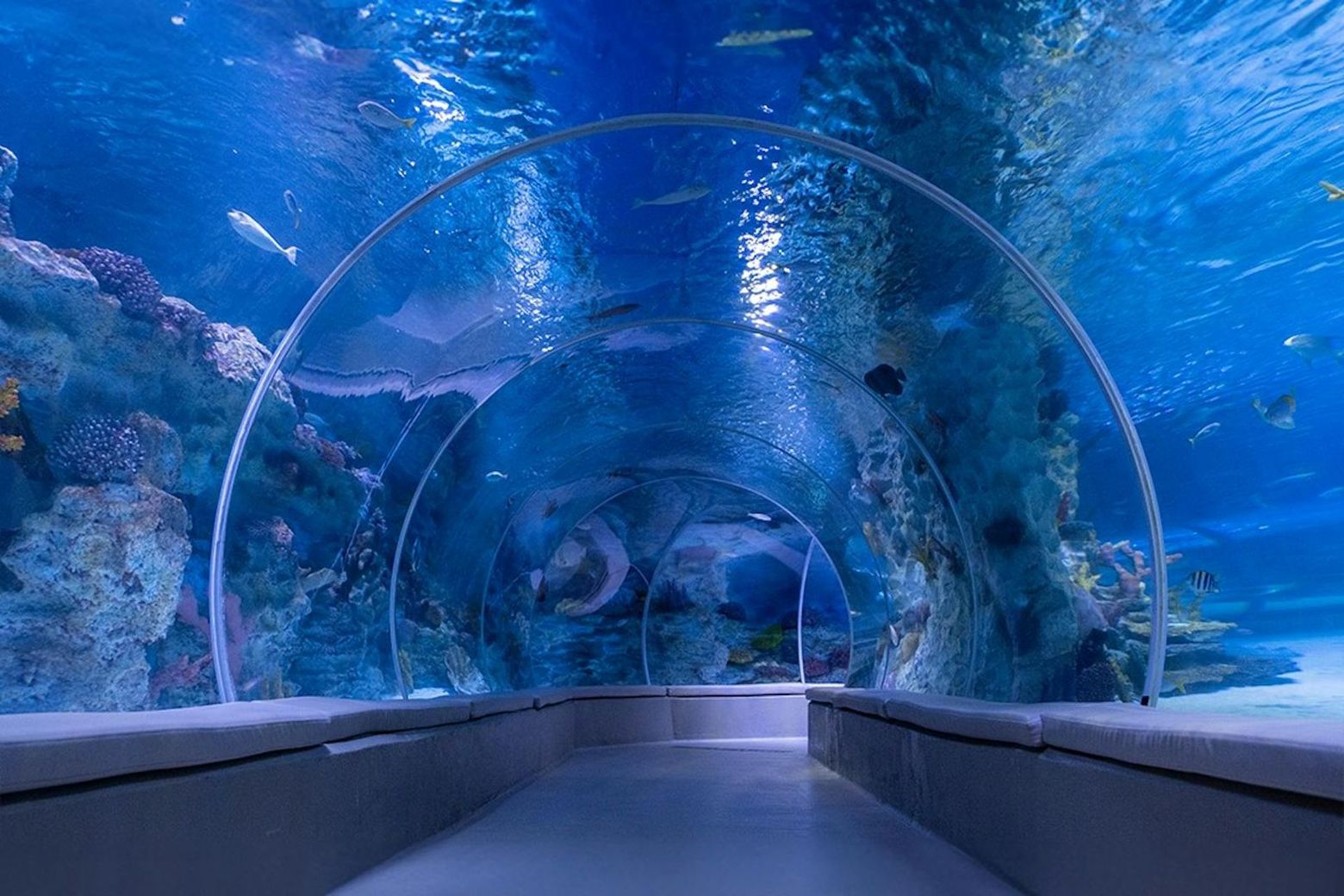 Istanbul: Emaar Aquarium & Underwater Zoo Entry Ticket