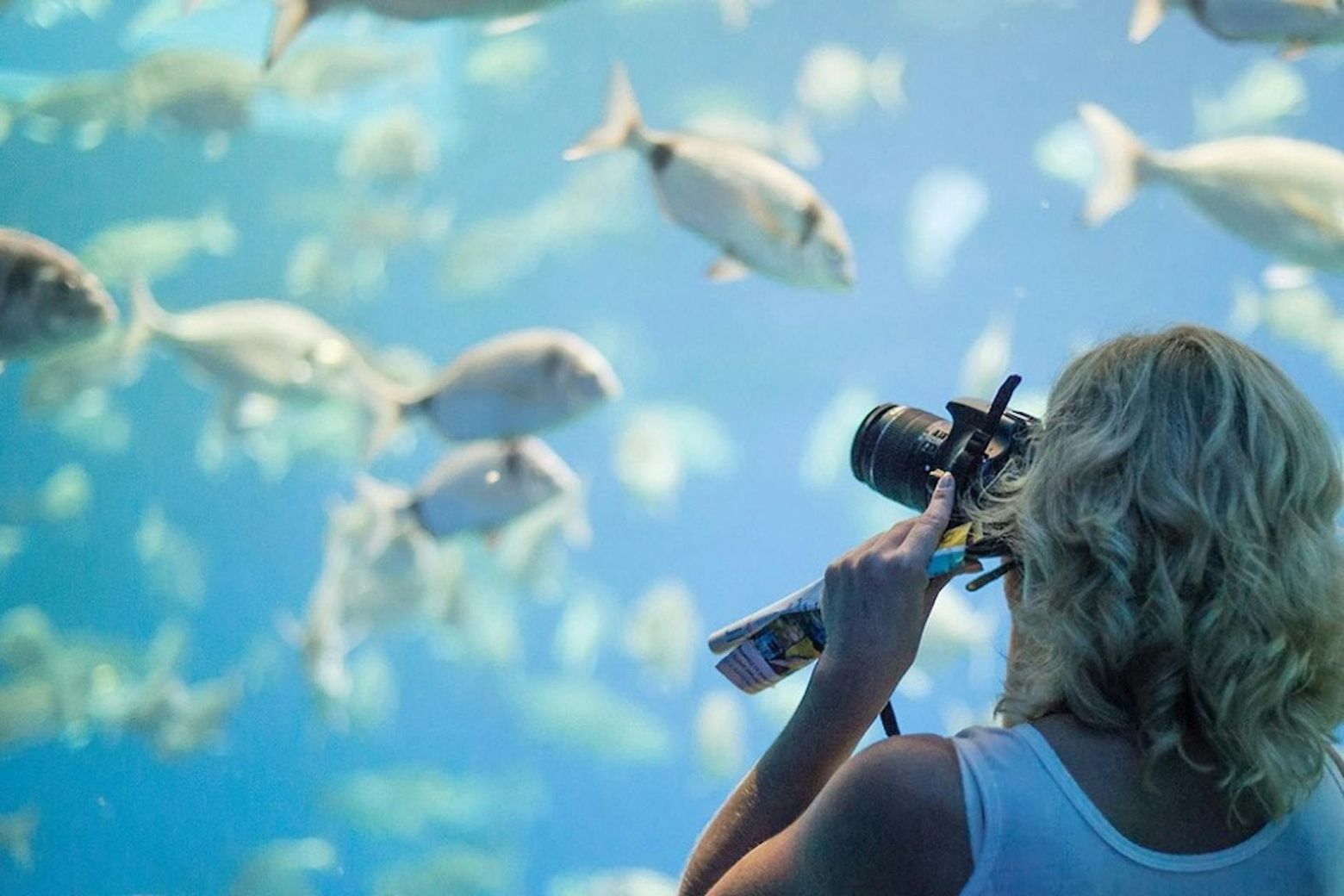 Palma Aquarium: Entry Ticket + Transfer from North