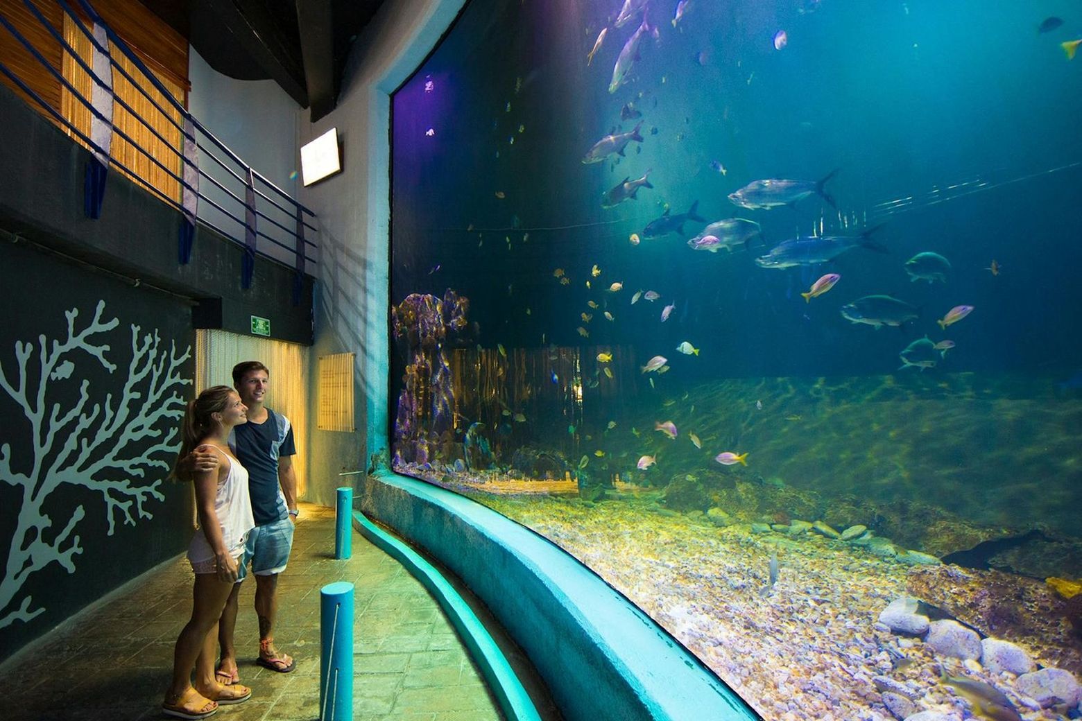 Interactive Aquarium Cancún: Entry Ticket + Dolphin Show - photo 2