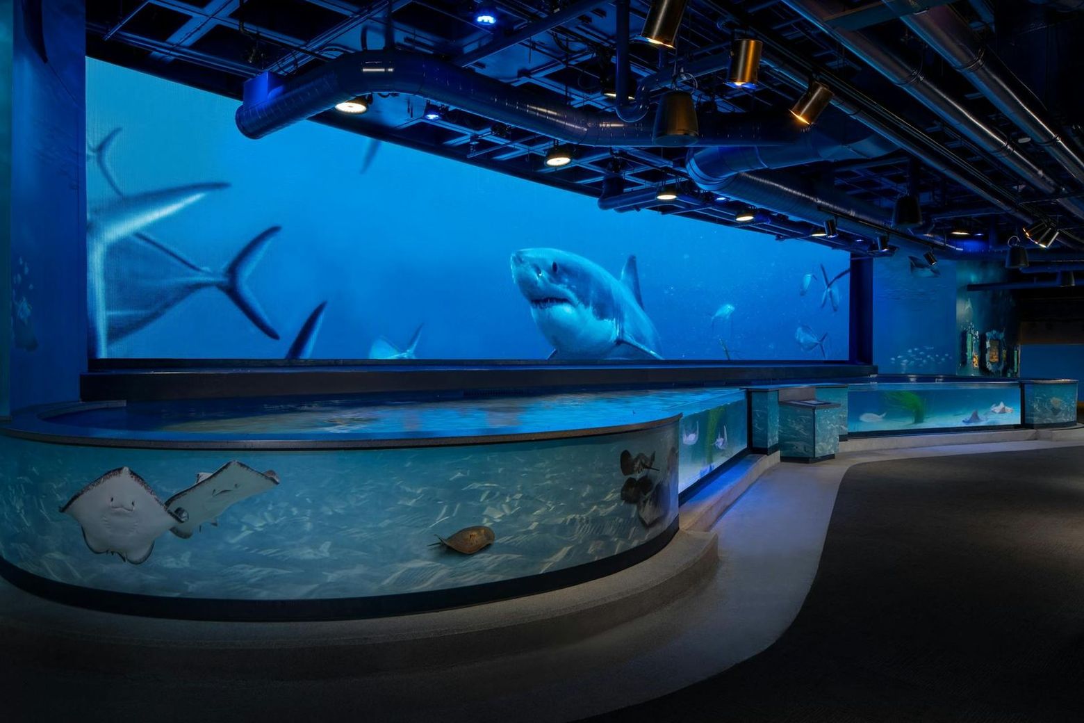 Audubon Aquarium & Insectarium: Combo Entry Ticket - photo 2