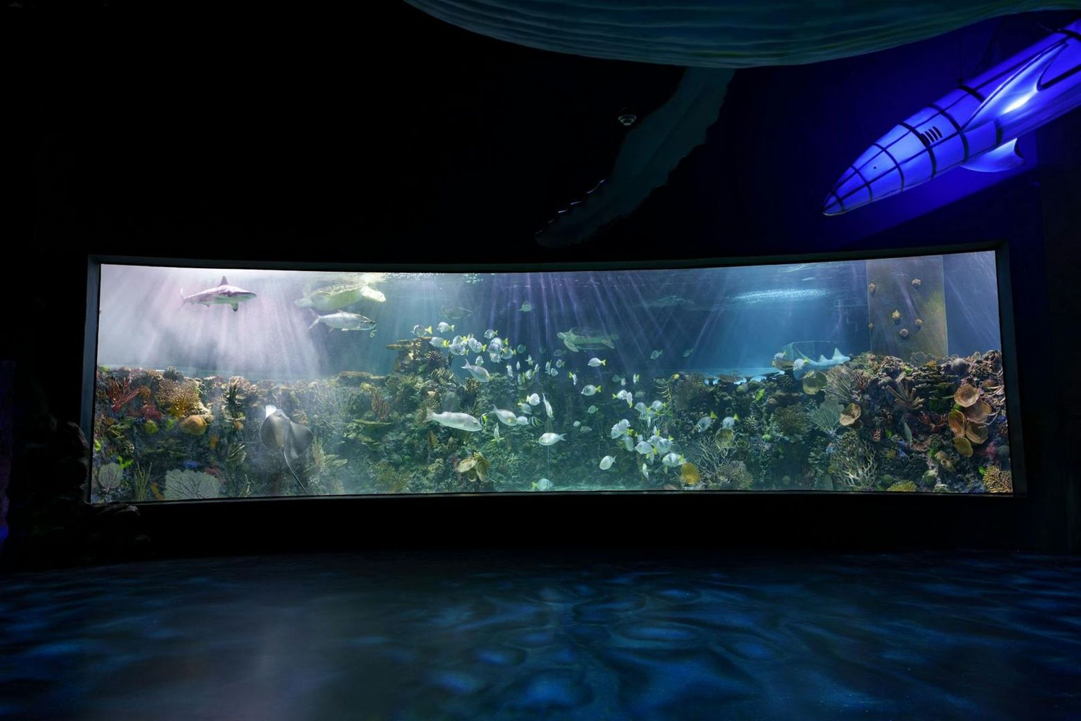 Inbursa Aquarium in Mexico City: Entrance Ticket - photo 2