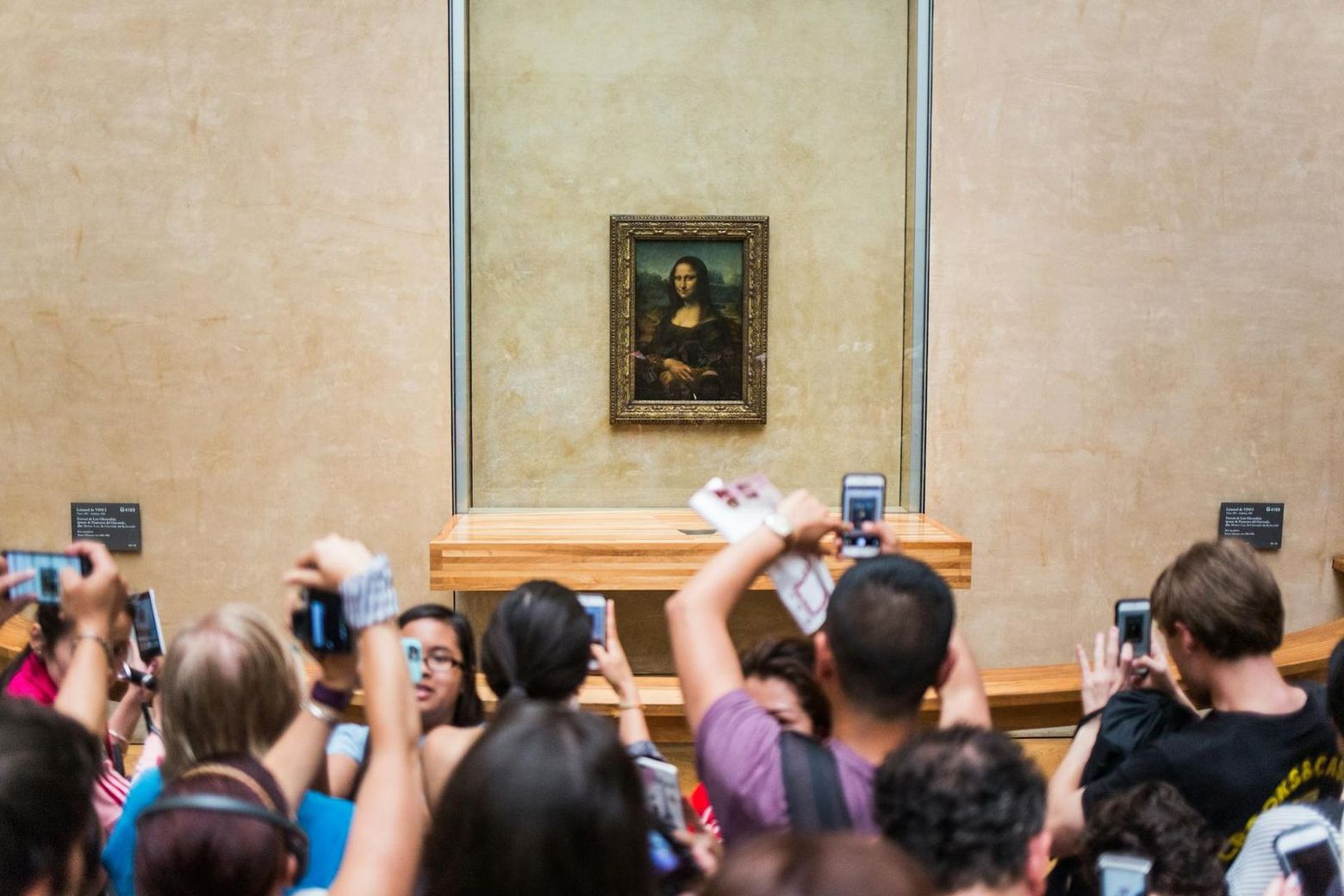 Louvre Museum: Fast Track Ticket + Hosted Access to Mona Lisa