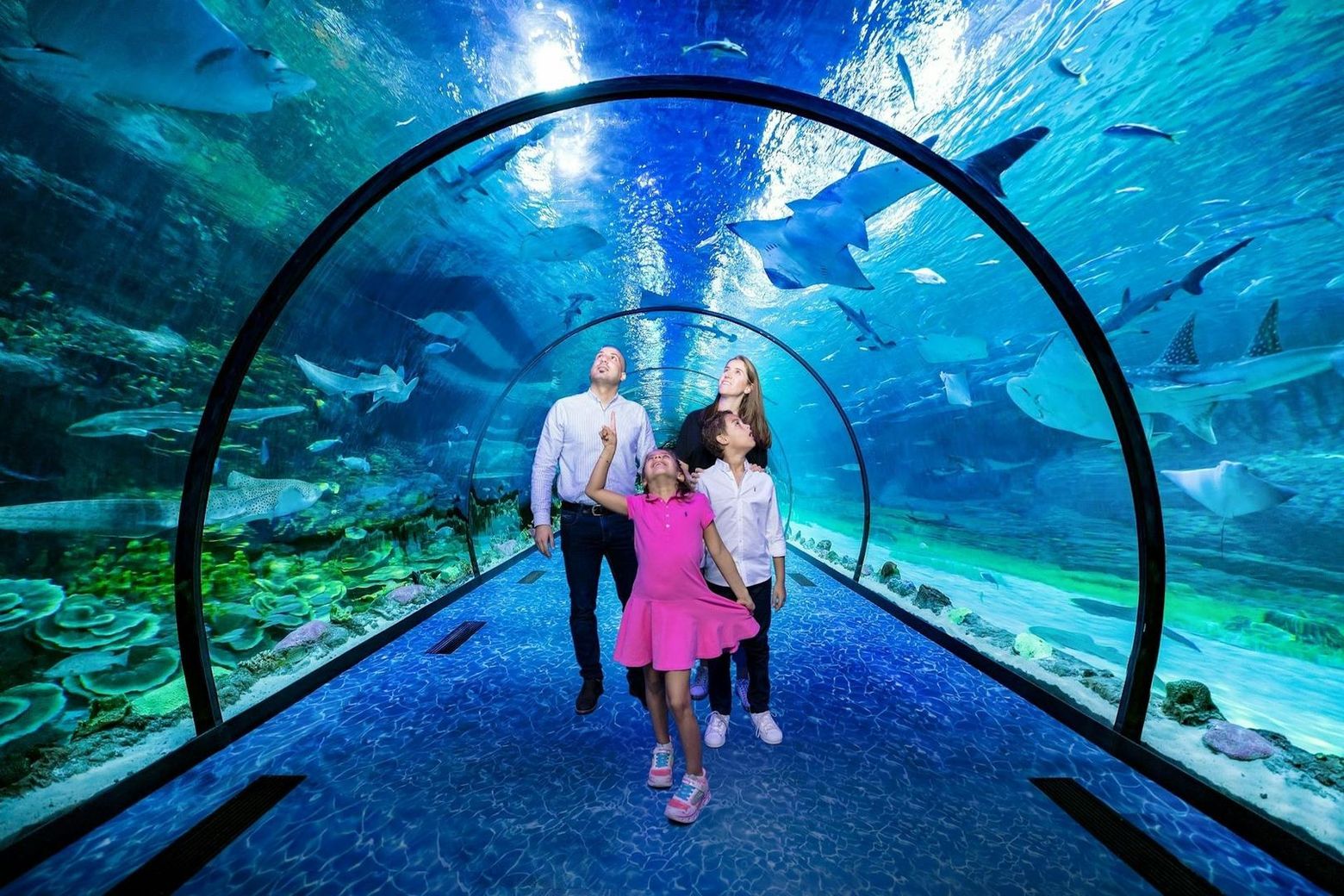 The National Aquarium Abu Dhabi: Entry + Pixoul Gaming + The Adrenark Adventure