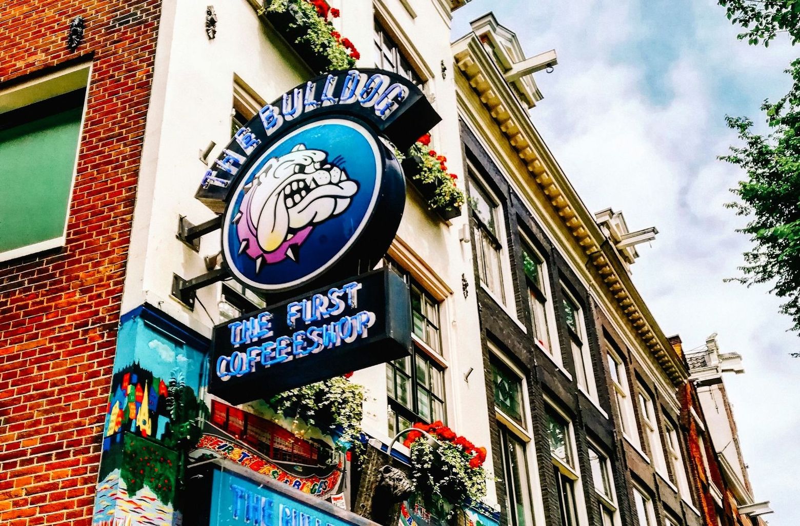 Explore Amsterdam's Secrets: a Walk Through the Red Light District - photo 2