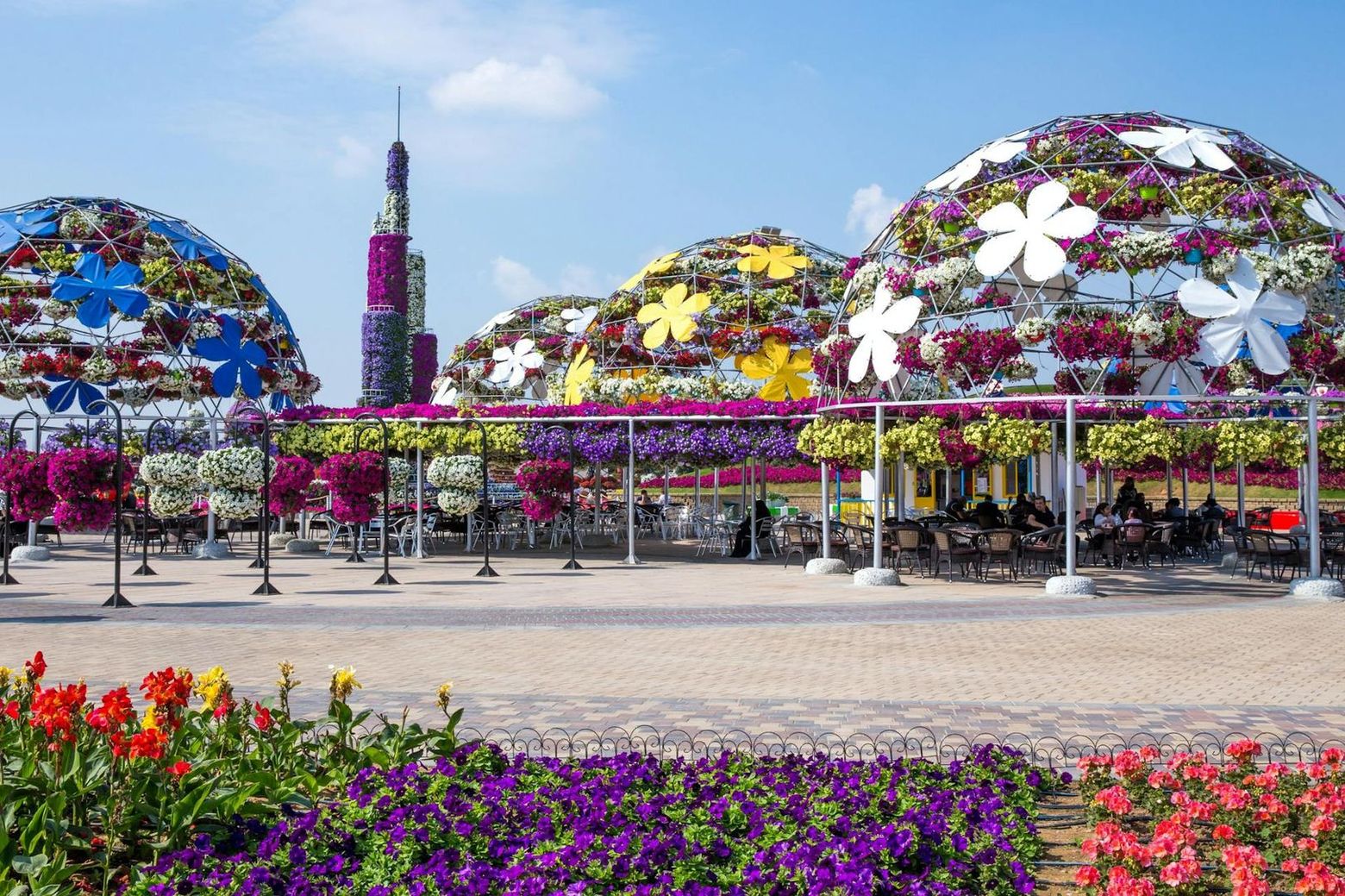 Dubai Miracle Garden: Entry Ticket - photo 2
