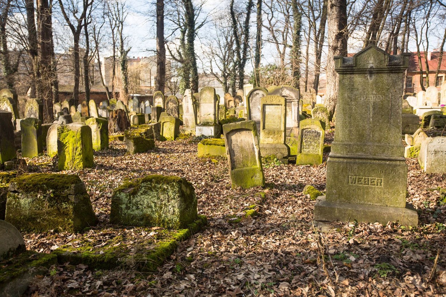 Krakow: Echoes of Kazimierz Audio Tour - photo 2