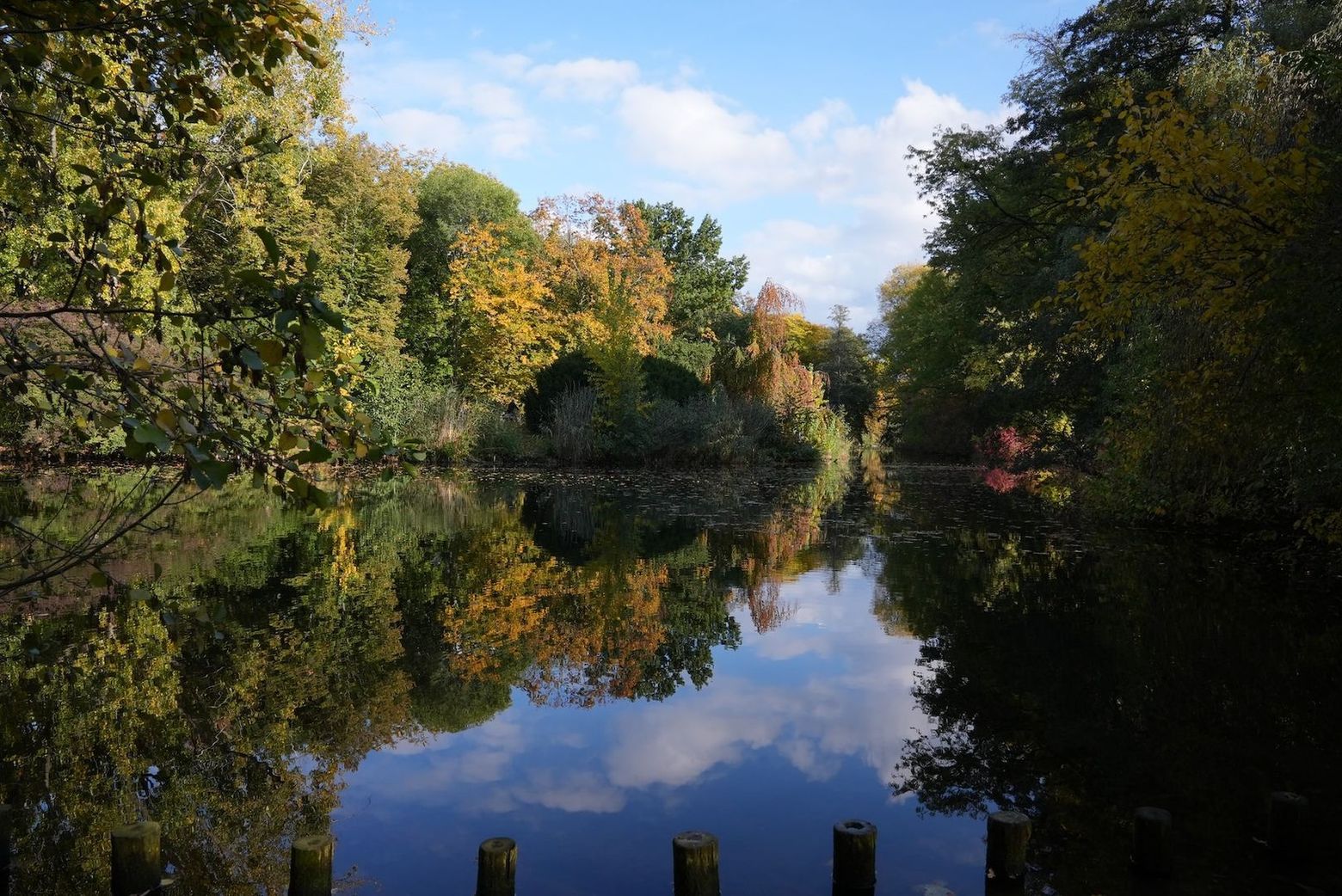 Tiergarten Park In-App Audio Tour: Entdecken Sie das Herz von Berlin - photo 2