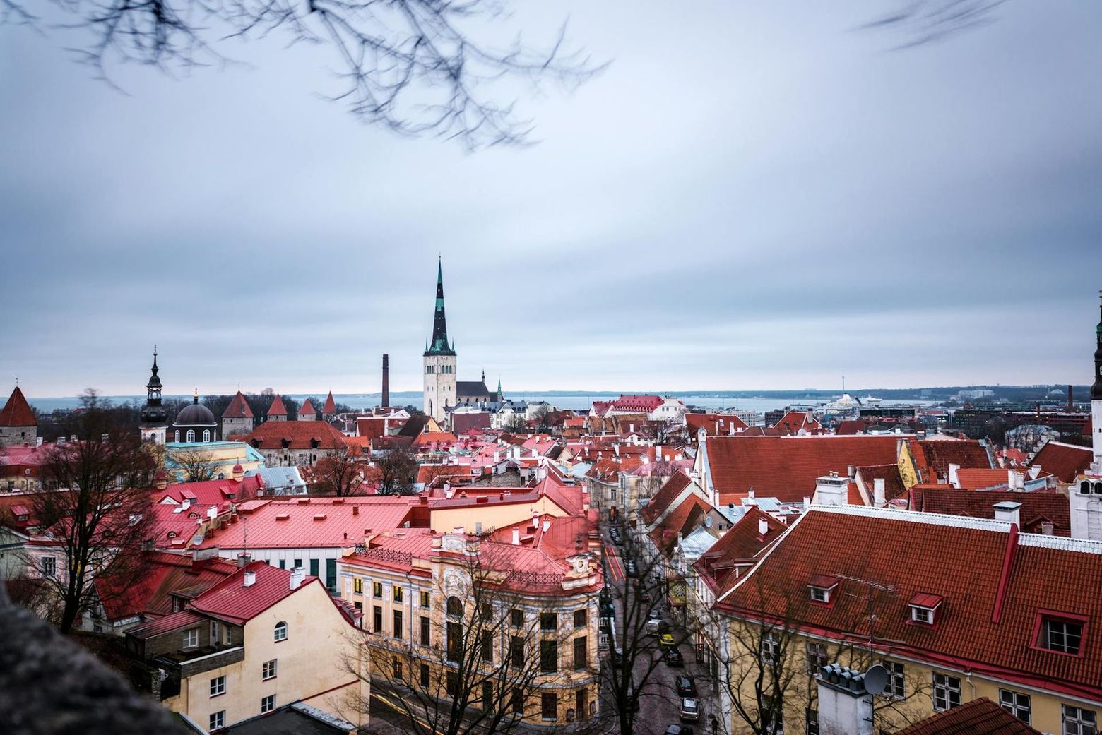 Tallinn's Timeless Tales: A Medieval Walking Tour