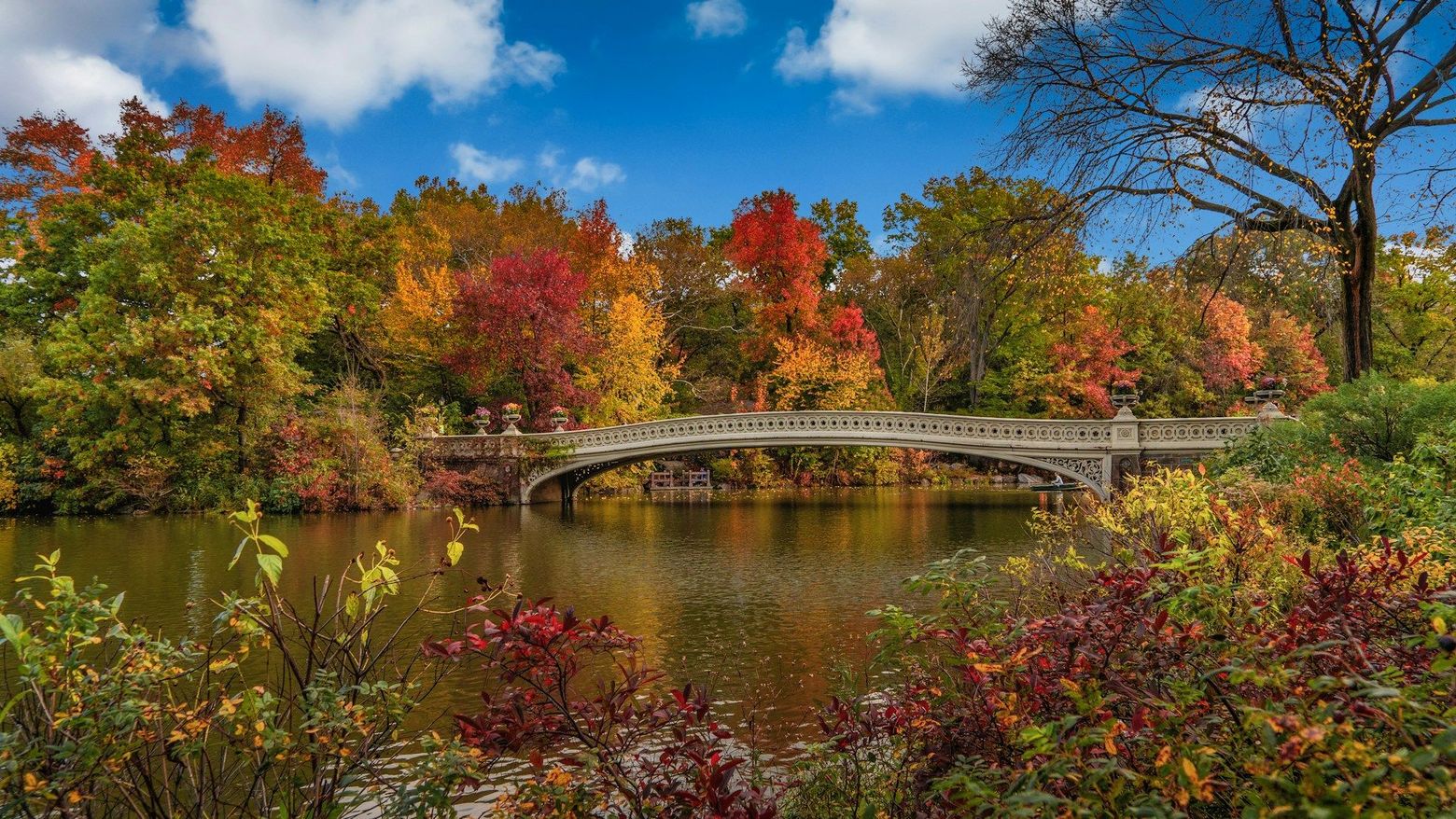 Explore Central Park: In-App Audio Tour of NYC's Gem - photo 2