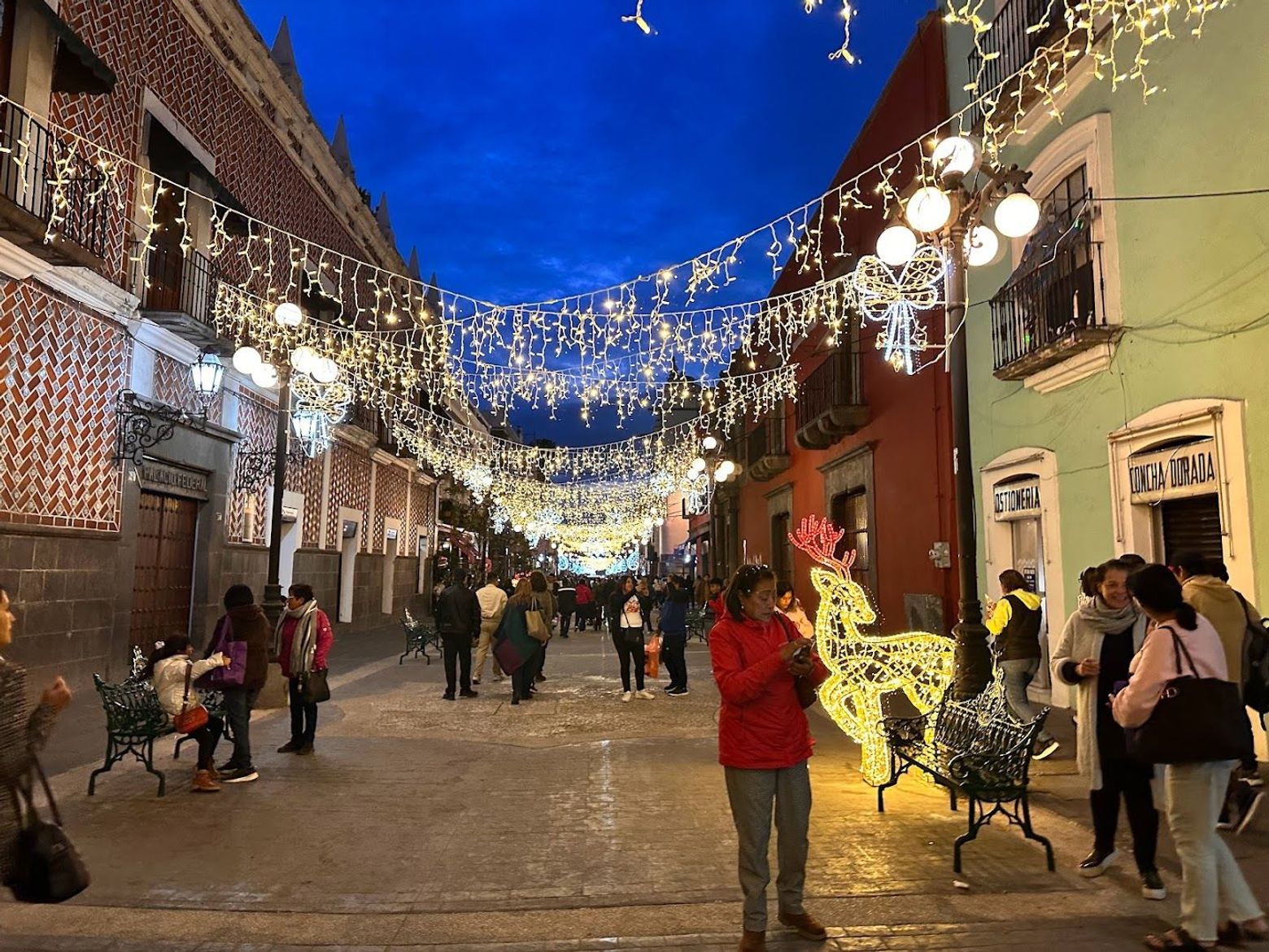 Puebla: Captivating Tales Audio Tour
