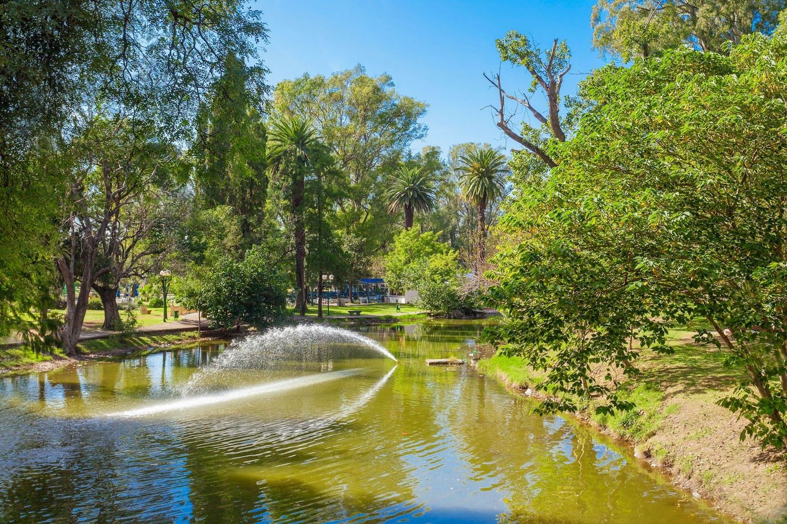Cordoba: Heartbeat of History Audio Tour