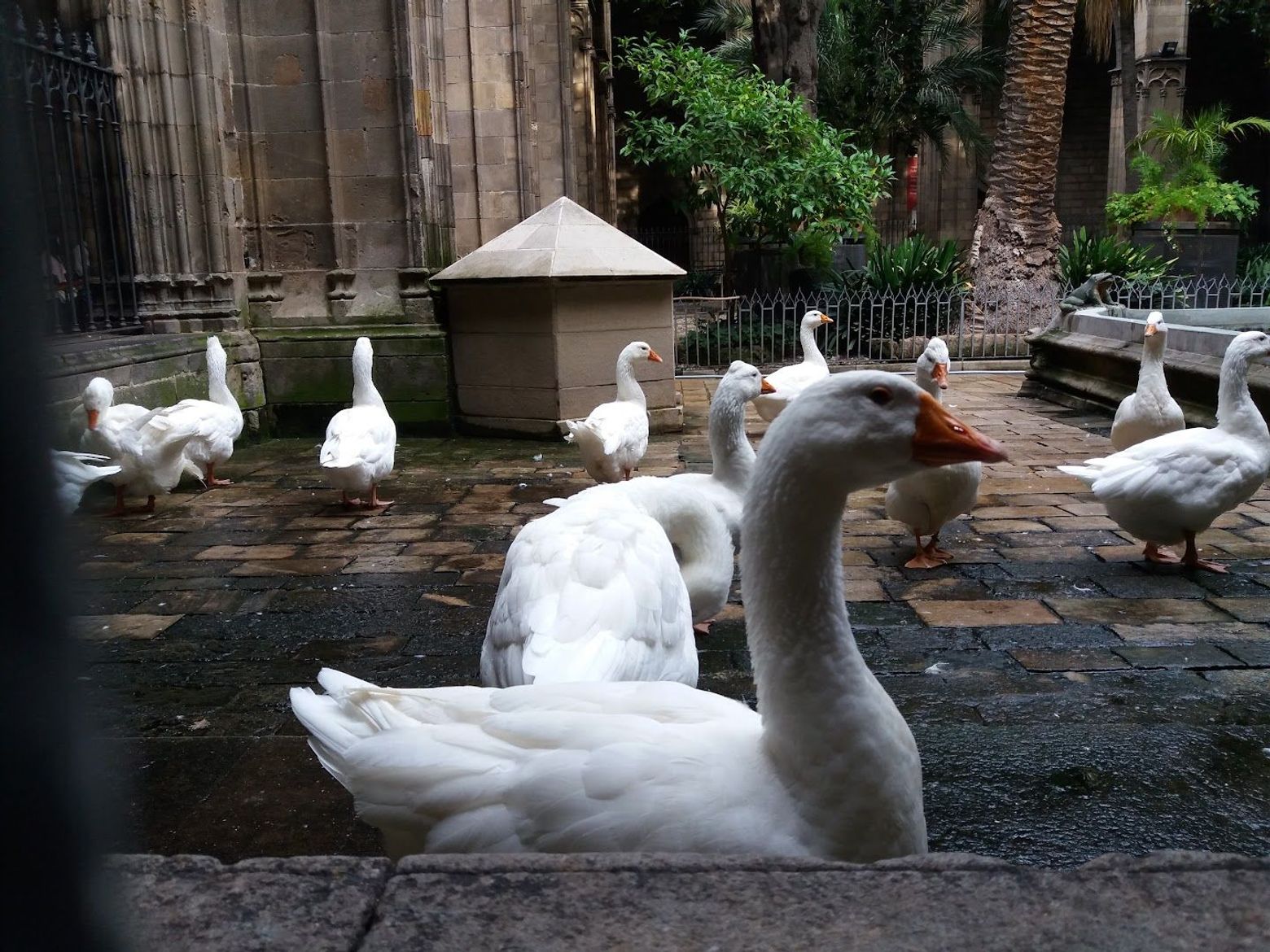 Discover Barcelona's Wonders: In-App Audio Tour - photo 2