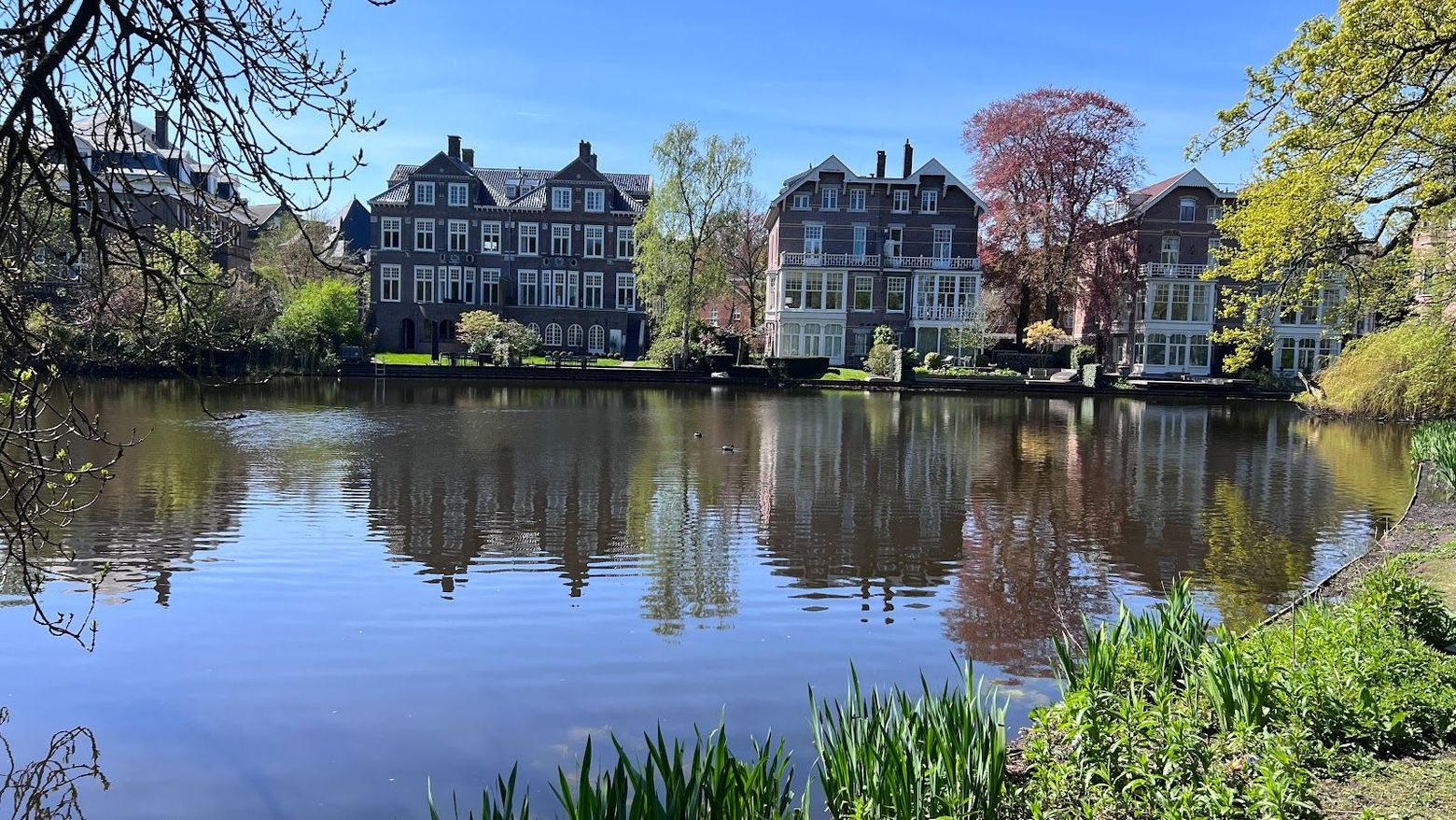 Amsterdam: Vondelpark & Old West Secrets Audio Tour