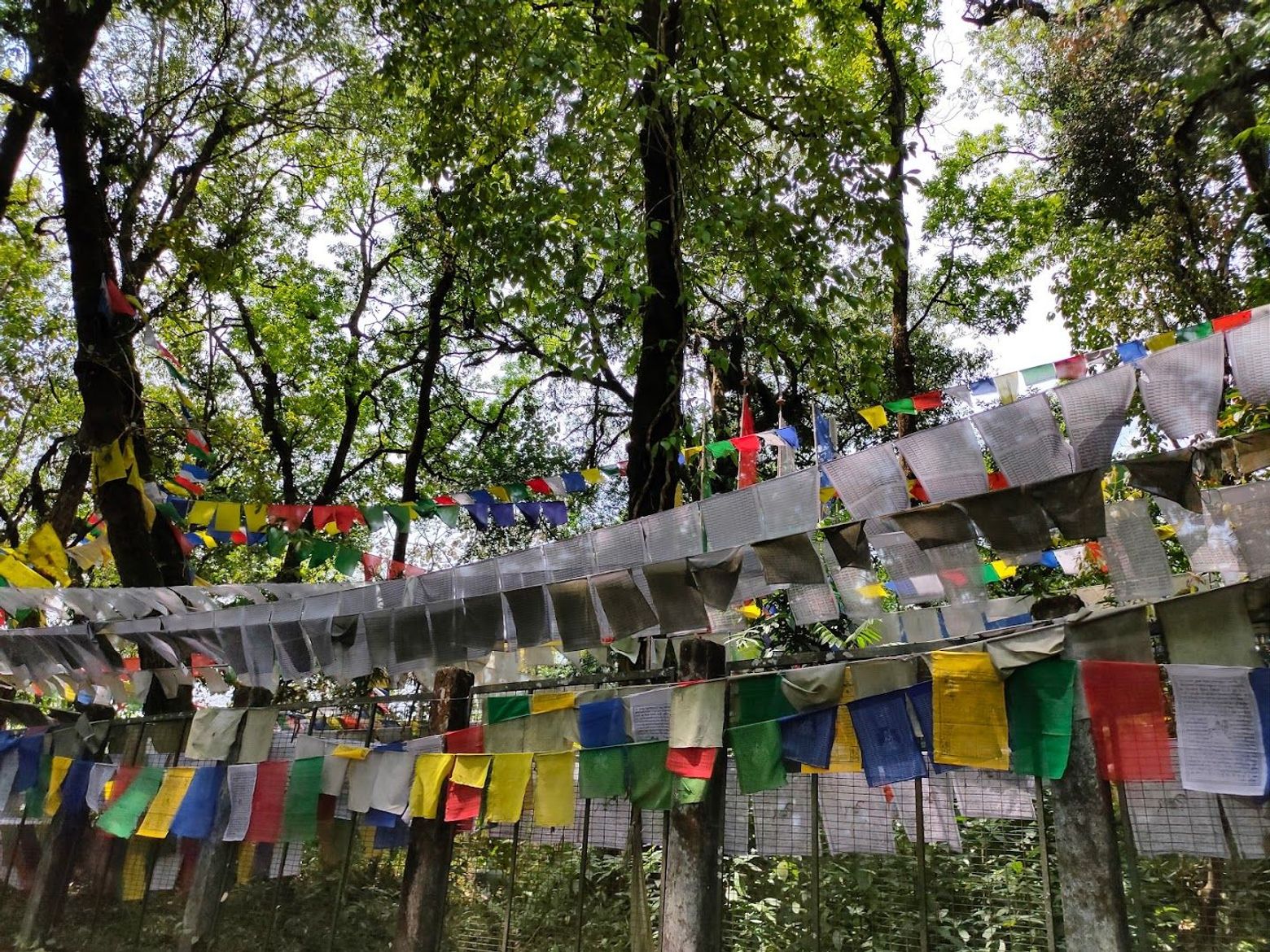 Gangtok: Cultural Heritage Audio Tour - photo 2