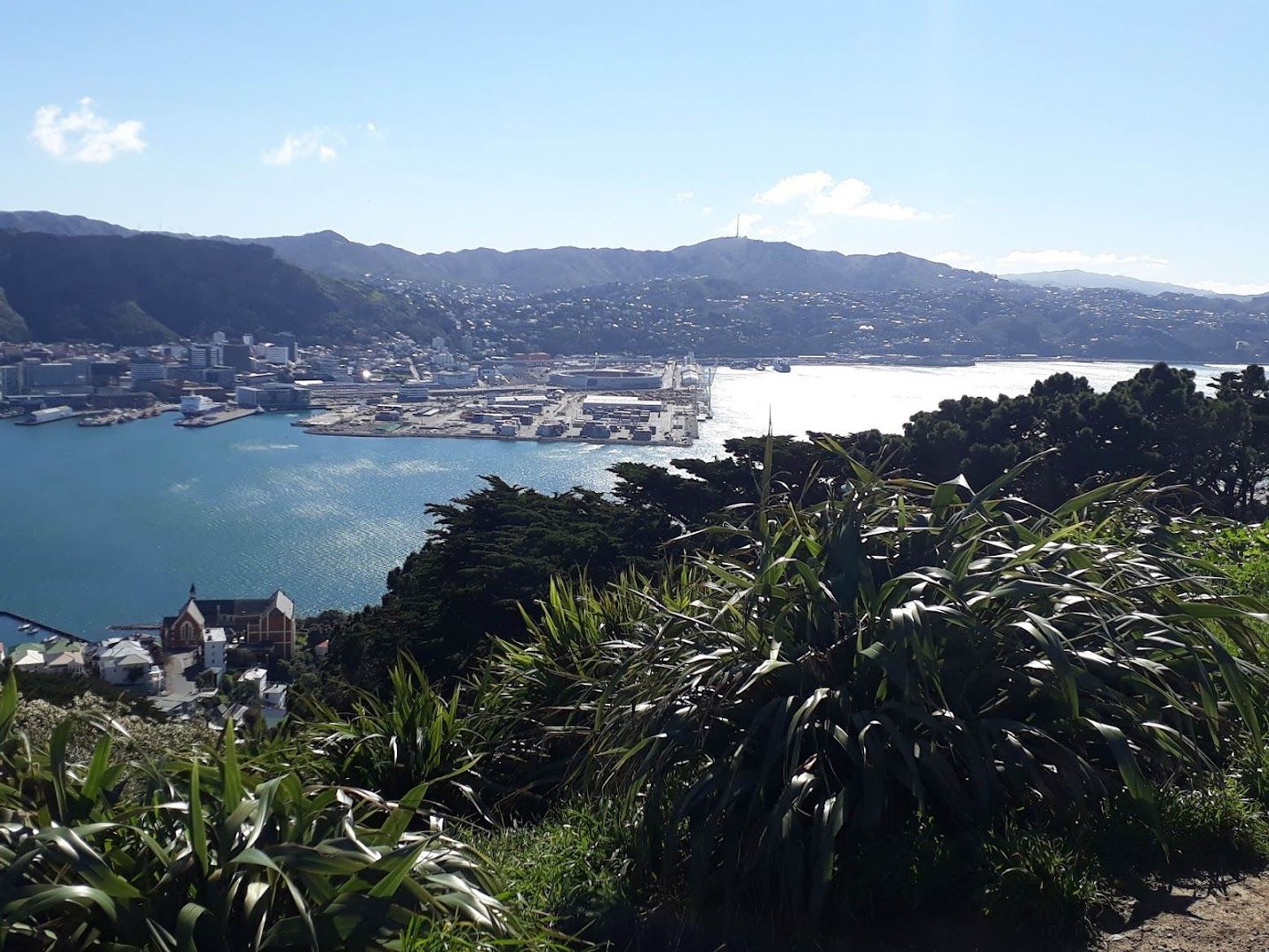 Wellington: Audio Tour - photo 2