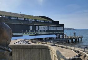 Seattle: Aquarium Entry Ticket & Downtown Landmarks Audio Tour