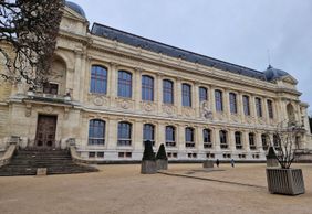 Paris: A Stroll Through Time with the Grande Galerie Ticket