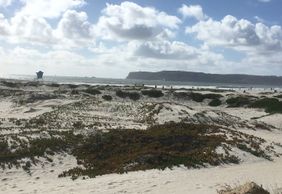 Coronado: Coastal Gems Audio Tour