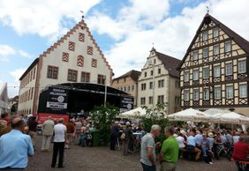 Bad Mergentheim: Historical Spa Charm Audio Tour