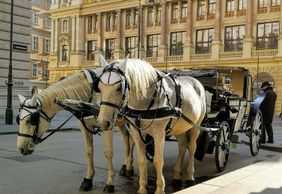 Vienna: Gourmet Delights Audio Tour