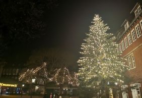 Hannover: Heritage and Tales Audio Tour