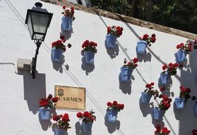 Marbella: Enchanting Paths Audio Tour