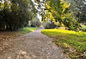 Cape Town: Enchanted Gardens Audio Tour