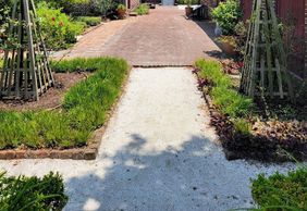 Charleston's Historic Walking Journey