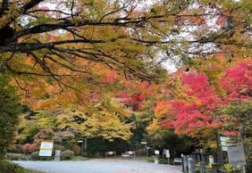 Takayama: Historic Time-Travel Audio Tour