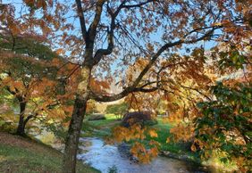 Baden-Baden: Historic Elegance Audio Tour