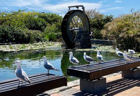 Cape Town: Green Point Park Adventure Audio Tour