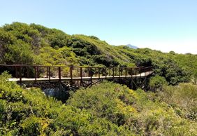 Hermanus: Coastal Wonders Audio Tour
